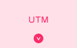 UTM